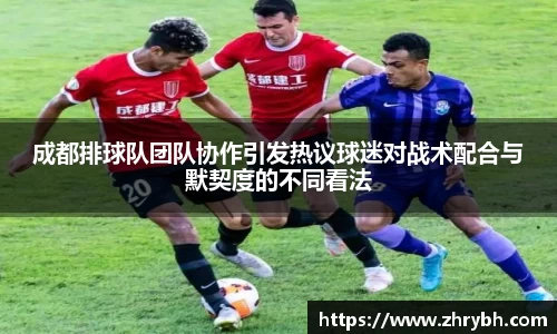 成都排球队团队协作引发热议球迷对战术配合与默契度的不同看法